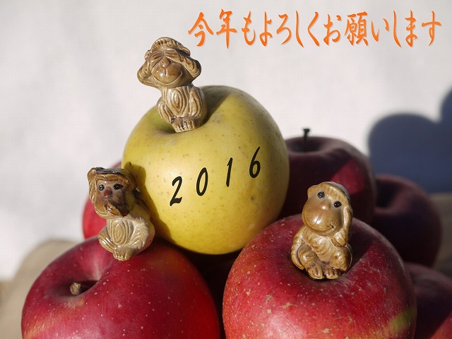 2016 年始　さる