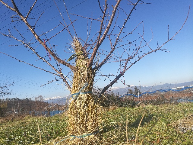 年末年始のご案内