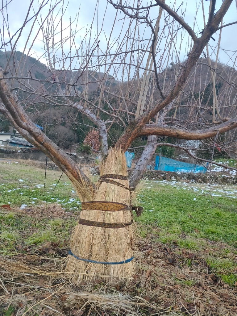 12/22 年内受付終了・年末年始のご案内